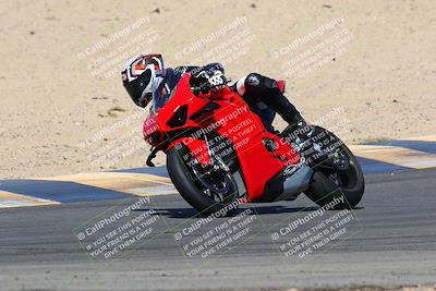 media/Mar-28-2022-Superbike Trackdays (Mon) [[b8603d0f67]]/Open Track Time/Turns 9 and 10/